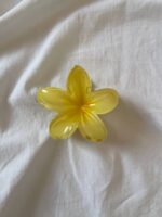 کلیپس پلومریا - Image 2