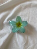 کلیپس پلومریا - Image 4