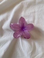 کلیپس پلومریا - Image 3