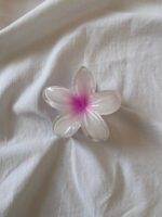 کلیپس پلومریا - Image 5