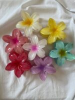 کلیپس پلومریا