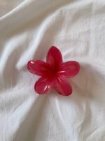 کلیپس پلومریا - Image 6