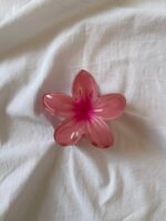 کلیپس پلومریا - Image 8