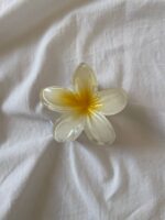 کلیپس پلومریا - Image 7